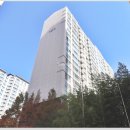 유림-1135 이미지