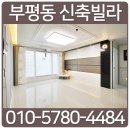 신트리약국 이미지