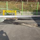 행림초등학교 이미지