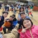 백호목장 이미지