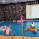 더아리웃집1 이미지