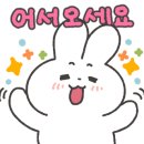 세이프존미용실 이미지