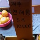 총각네과일;야채