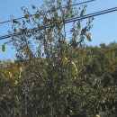 사직2길 이미지