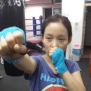 YM복싱클럽 이미지