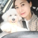 젠틀그루밍 이미지