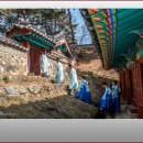 숭렬전 제향 이미지