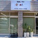 도그핏애견샵 이미지