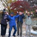 홍성농장 이미지