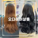 또오다헤어 이미지