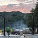 별빛i어린이집 | 내가 다녀본 대형견 진돗개 가능 캠핑장 리스트(2026.05 업데이트)