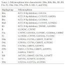 The Creation of Cybrids Harboring Mitochondrial Haplogroups in the Taiwanese Population of Ethnic Chinses Background 이미지