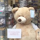 곰돌이약국 이미지