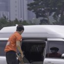 당카 이미지