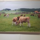 여수미술관 이미지