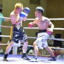 레드복싱 이미지