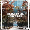 시청앞 가로수길 이미지