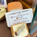 라비뛰드 이미지