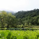 수타사
