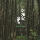 숲에오름협동조합 이미지