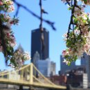 포낙보청기평택센터 이미지