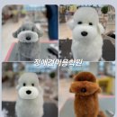 미용사 자격증 야간 이미지