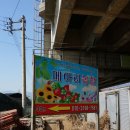 순양농장 | [딸기체험] 즐거운 딸기따기양평 메아리 농장 체험!!