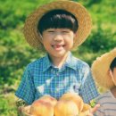 정말농장 이미지