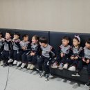 노블키즈유치원 이미지