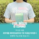 드림코리아 이미지
