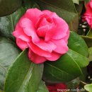 군북면 면사무소 이미지