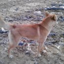 사옥축산 이미지