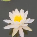 사곡B&B호텔 | 거제도아쿠아리우스ㅡ스폐셜리조트룸 ㅡ숙소전용텃밭