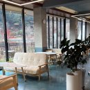 카페아리아 | 청주 카페 아리아 후기｜목련로 오후에 아이스 아메리카노 마시며 구경하기