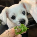 피자스쿨 동탄호수공원 이미지
