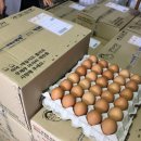 알찬유정란농장 이미지