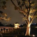 생활자수(야간) | 2025년 궁중문화축전 경복궁 야간개장 한복연향 주차