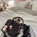 치킨먹9회두먹9