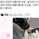 국수타임 네이버블로그