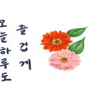 쿠우쿠우화정점
