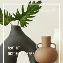 해빙데이 이미지