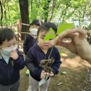 지산보리어린이집 이미지