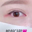 수원-1349 이미지