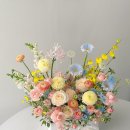 온화앤유 이미지