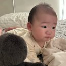 사탕베개 | [6개월 아기 수면교육] 쪽쪽이끊기&옆잠베개 졸업 일주일 후기