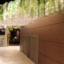 더블유 페스타 이미지