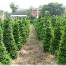 불은면-2 이미지