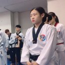 단군태권도장 이미지