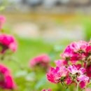 사진작가반 이미지