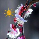 하나연결세상